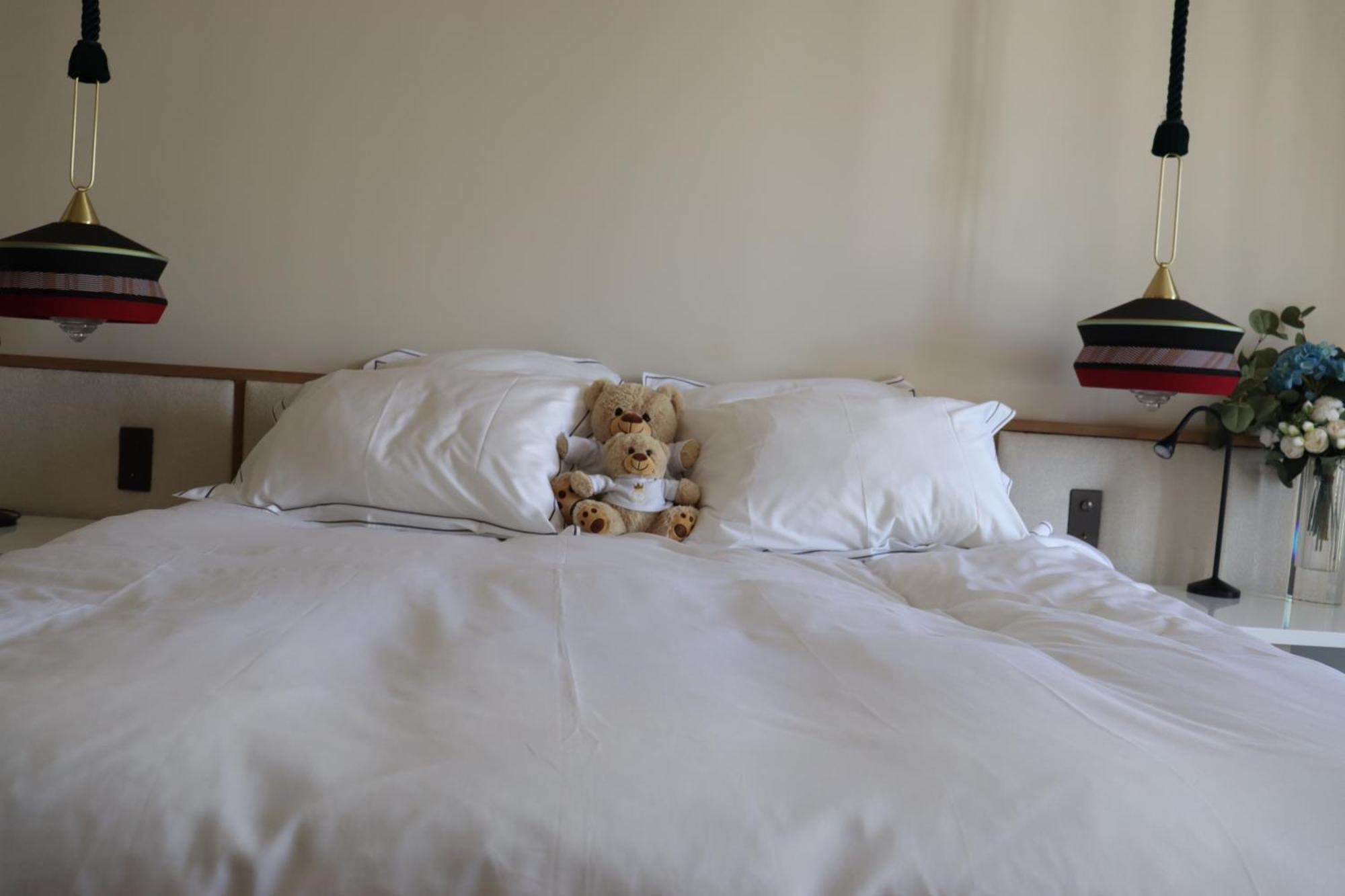 Apartment Luxueux Avec Balcon, Champs Elysees Paris